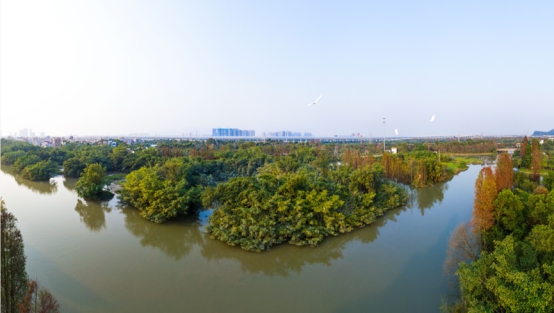 230202加快湿地保护修复 你我义不容辞 (3).jpg