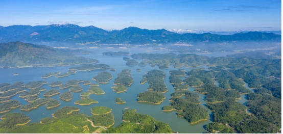 231221江门首批!开平孔雀湖、新会小鸟天堂入选省级重要湿地 (1).jpg