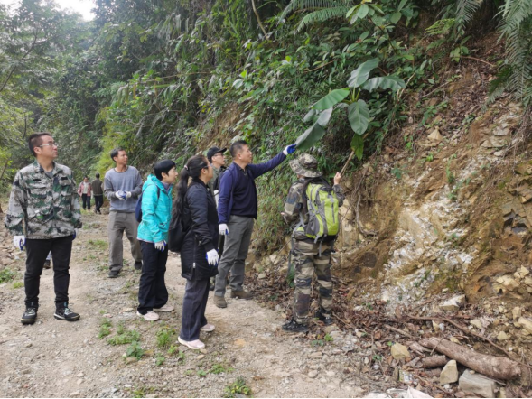 250106加强种质资源保护,夯实生态文明基础——开云电竞官方网站自然资源局召开种质资源调查考察现场会 (1).png
