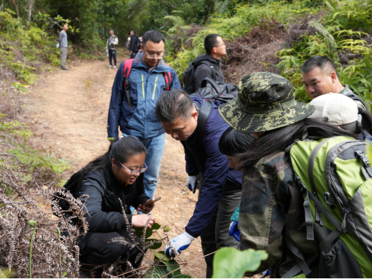 250106加强种质资源保护,夯实生态文明基础——开云电竞官方网站自然资源局召开种质资源调查考察现场会 (2).png