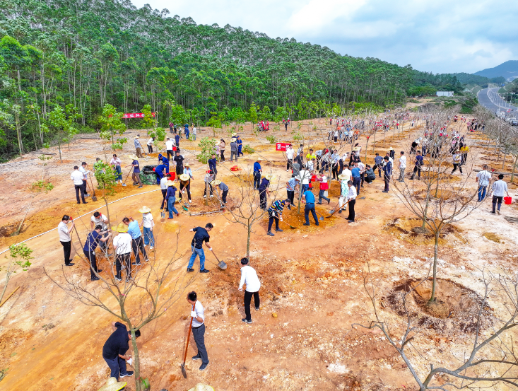 250314开云电竞官方网站开展2025年全省推进绿美广东生态建设暨五级林长植树活动 (4).png