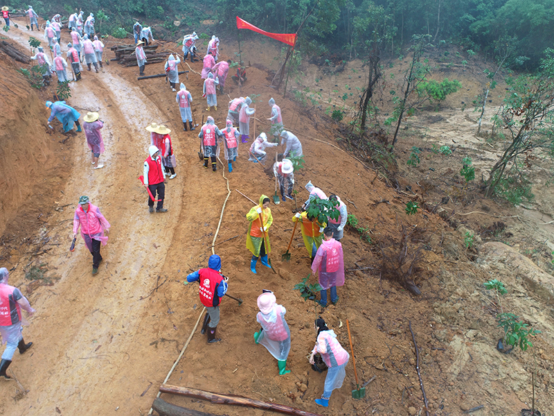 210429﻿开云电竞官方网站自然资源局开展庆祝建党100周年义务植树活动 (2).jpg
