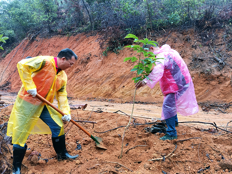 210429﻿开云电竞官方网站自然资源局开展庆祝建党100周年义务植树活动 (3).jpg