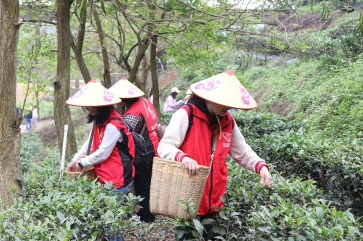 230412﻿开云电竞官方网站自然资源局妇委会开展“巾帼心向党，奋进新征程”三八妇女活动 (4).jpg
