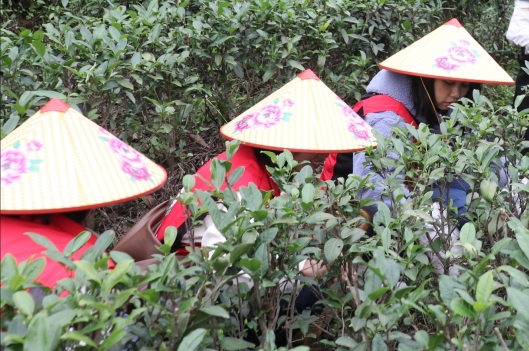 230412﻿开云电竞官方网站自然资源局妇委会开展“巾帼心向党，奋进新征程”三八妇女活动 (5).jpg