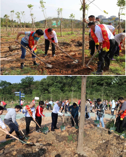 230509大力弘扬劳模精神 建设绿美生态江门——﻿开云电竞官方网站劳模工匠林顺利揭牌 (3).png