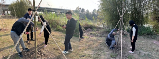 230516严格苗木管理 保证造林质量——﻿开云电竞官方网站各级林业主管部门加强种苗质量检查监管 (2).jpg