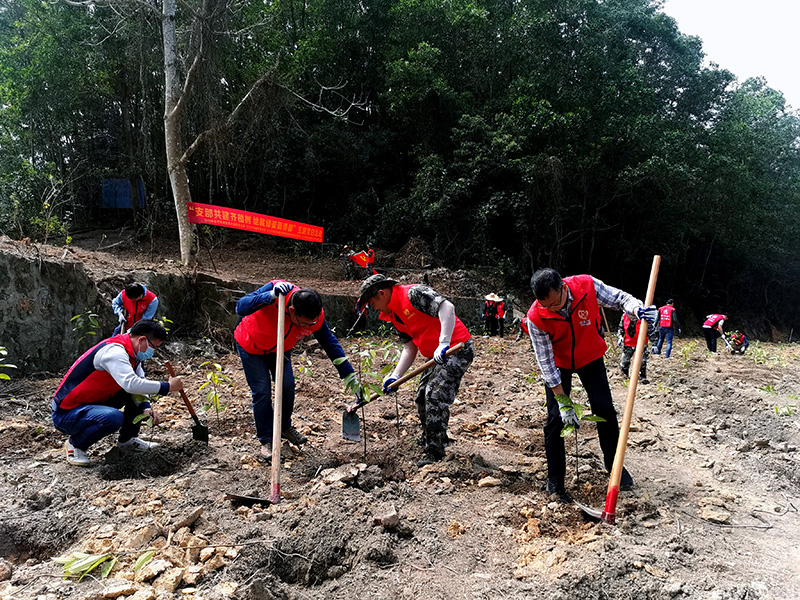 240326﻿开云电竞官方网站自然资源局机关第四党支部组织联合开展“支部共建齐植树 绘就绿美新侨都”主题党日活动 (4).jpg