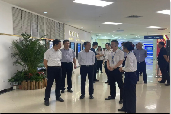 240521省自然资源厅副厅长洪伟东率队调研﻿开云电竞官方网站地质灾害防御及不动产确权登记等工作 (6).png