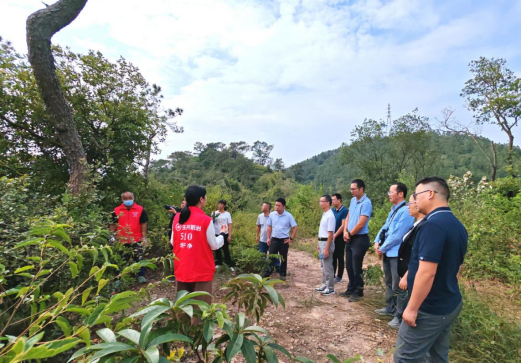 241111﻿开云电竞官方网站召开镇级疫点拔除专家评审会 (3).png