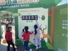 241212保护野生动物，共建绿美江门 (1).png