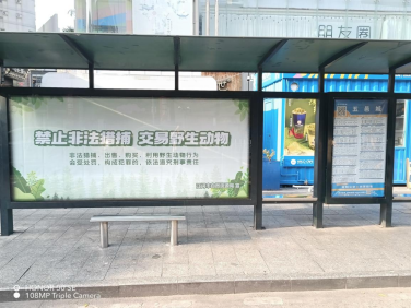 241212保护野生动物，共建绿美江门 (7).png