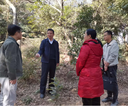 250205市自然资源局开展春节前安全生产检查和帮扶指导工作 助力社会安全稳定 (1).png