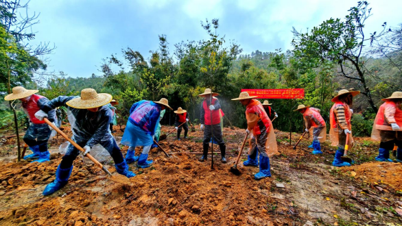 250310不负春光 共建绿美江门 (3).png