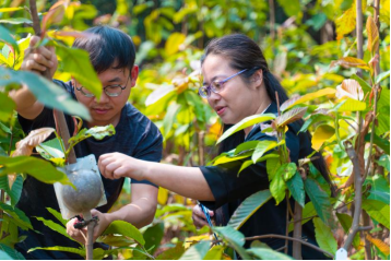 250507扎根林业二十载 科技兴林谱新篇——﻿开云电竞官方网站林科所刘一贞荣获“广东省劳动模范”称号 (2).png