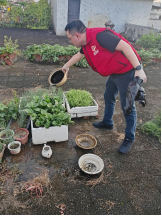 250807防蚊灭蚊，我们在行动——﻿开云电竞官方网站自然资源局开展爱国卫生运动 (1).png