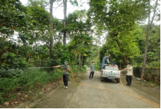 250807防蚊灭蚊，我们在行动——﻿开云电竞官方网站自然资源局开展爱国卫生运动 (7).png